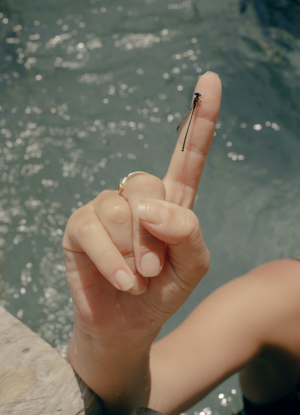 amazing spa saloon in the oceanfront at nomade Tulum